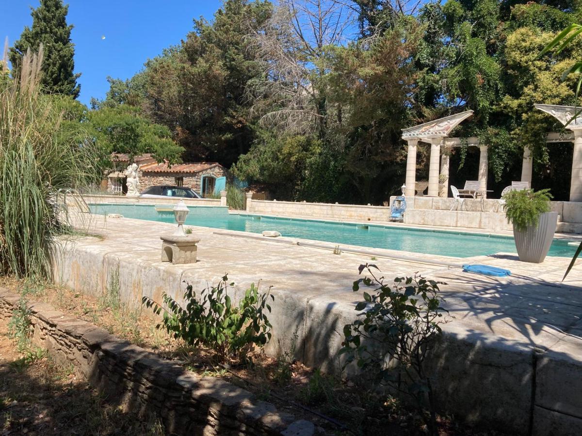 Gite Encore Un Soir Hyeres Exterior photo